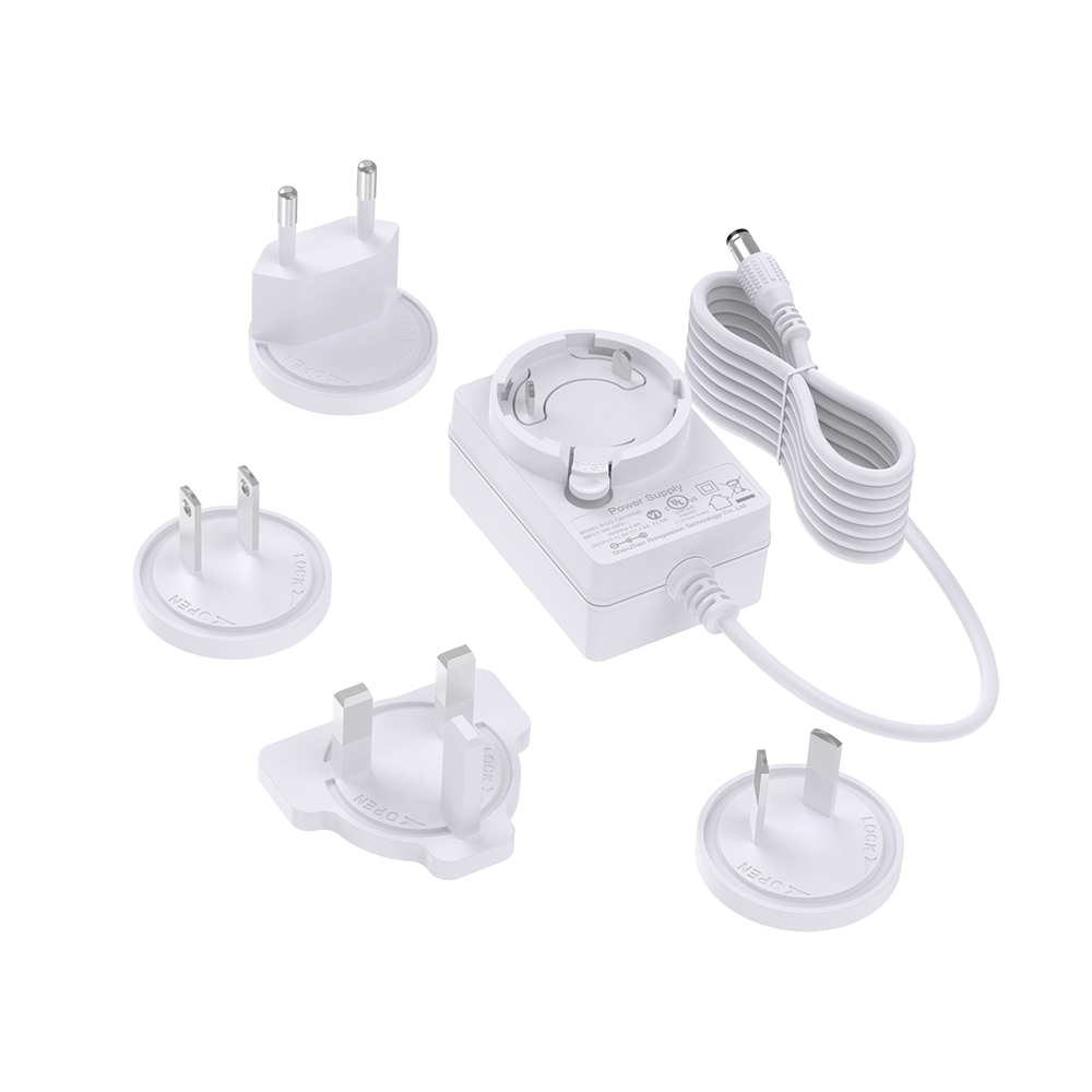 5v 2a 12w Interchangeable Plug Power Adapter